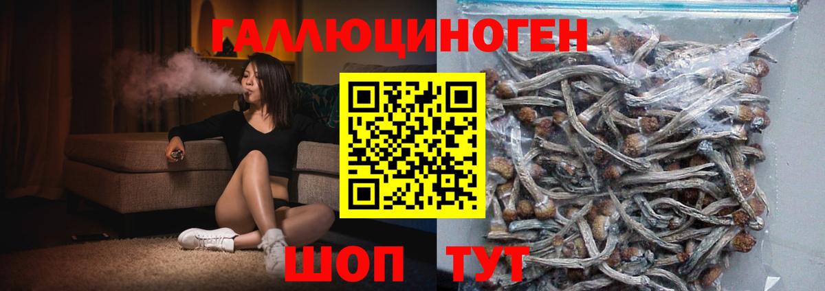Галлюциногенные грибы GOLDEN TEACHER Карабулак