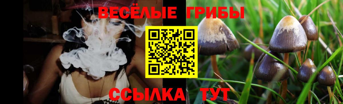 Галлюциногенные грибы Magic Shrooms  Псилоцибиновые грибы мухоморы  Вход с VPN  Карабулак 